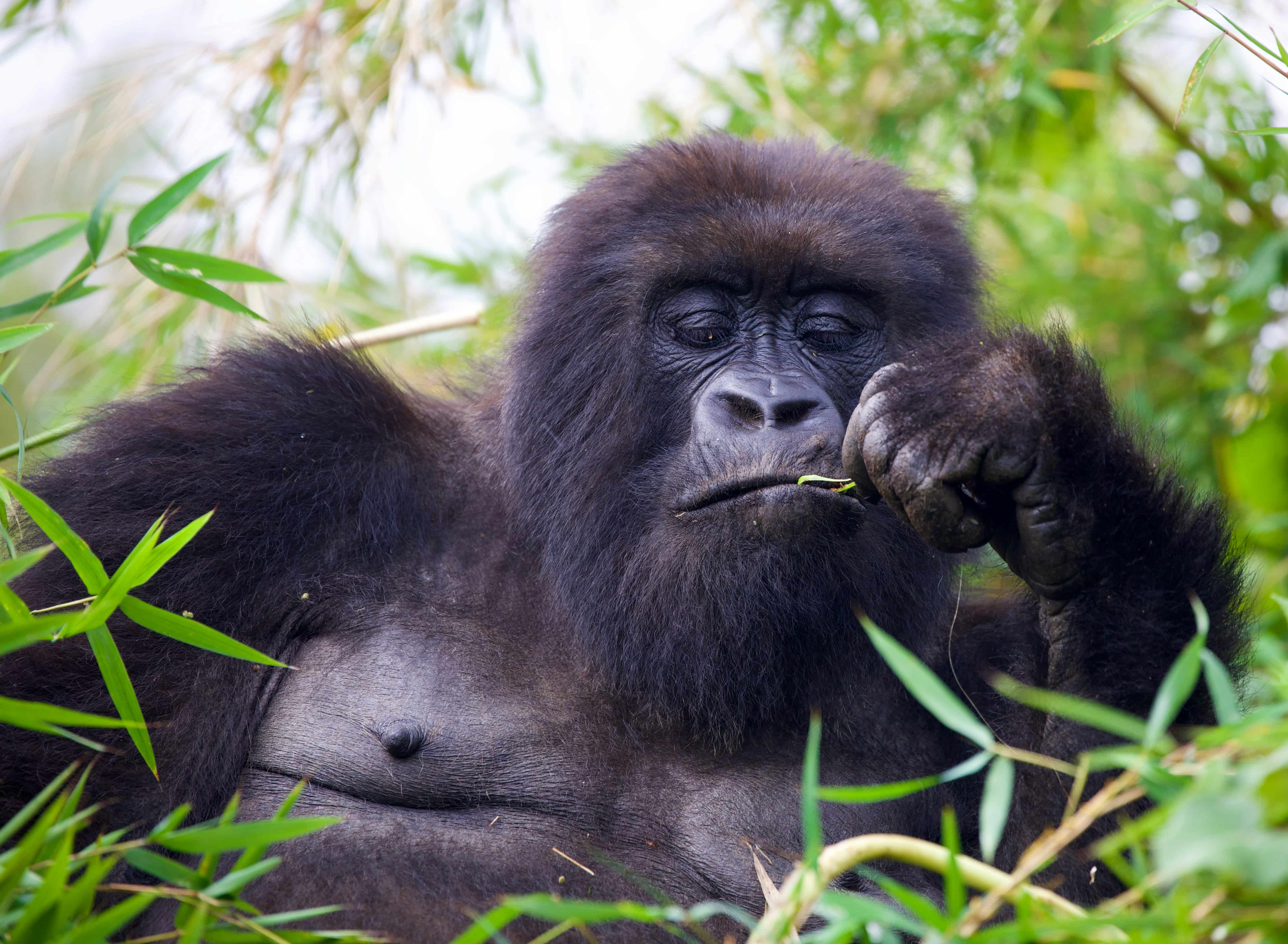 Explore Rwanda with confidence